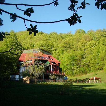 Barlogul Ursilor Lepsa Hotel Екстериор снимка