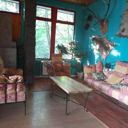 Barlogul Ursilor Lepsa Hotel Екстериор снимка