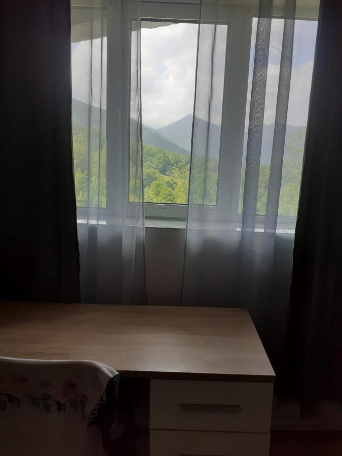 Barlogul Ursilor Lepsa Hotel Екстериор снимка