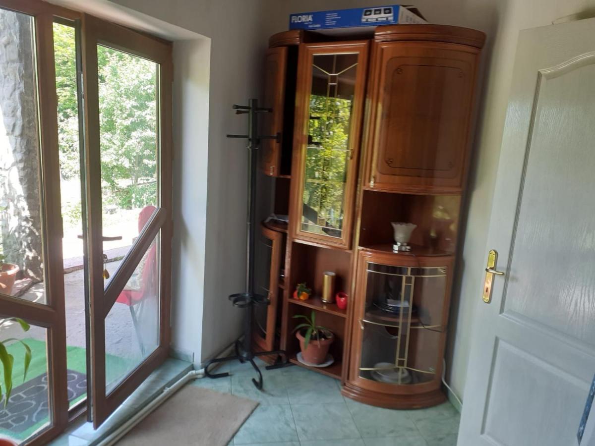 Barlogul Ursilor Lepsa Hotel Екстериор снимка