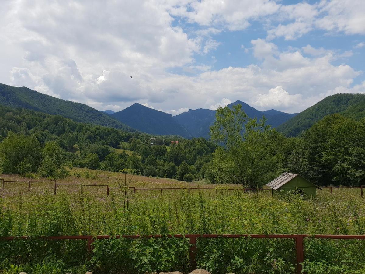 Barlogul Ursilor Lepsa Hotel Екстериор снимка
