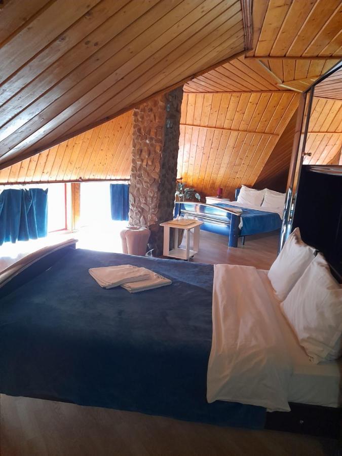 Barlogul Ursilor Lepsa Hotel Екстериор снимка