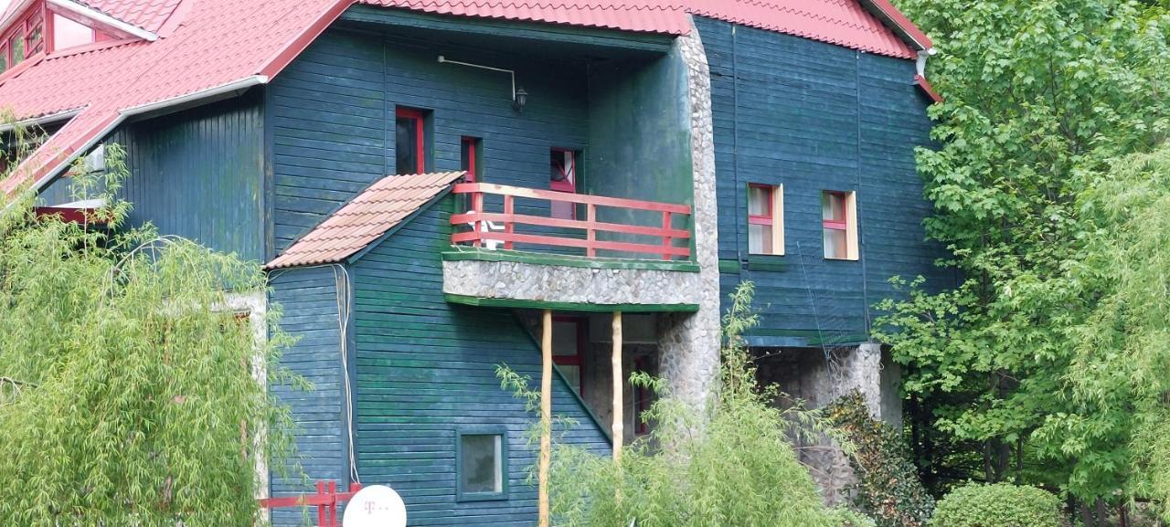 Barlogul Ursilor Lepsa Hotel Екстериор снимка