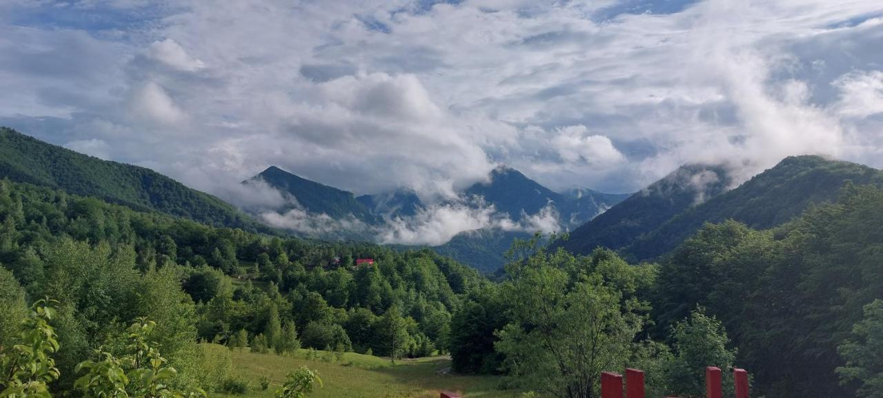 Barlogul Ursilor Lepsa Hotel Екстериор снимка