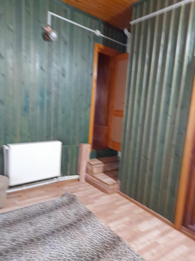 Barlogul Ursilor Lepsa Hotel Екстериор снимка