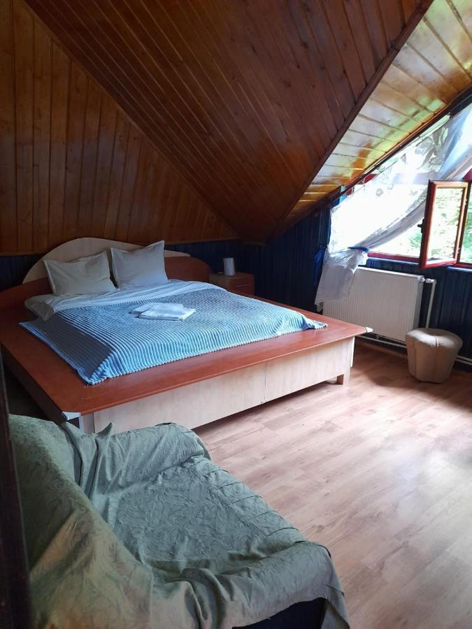 Barlogul Ursilor Lepsa Hotel Екстериор снимка