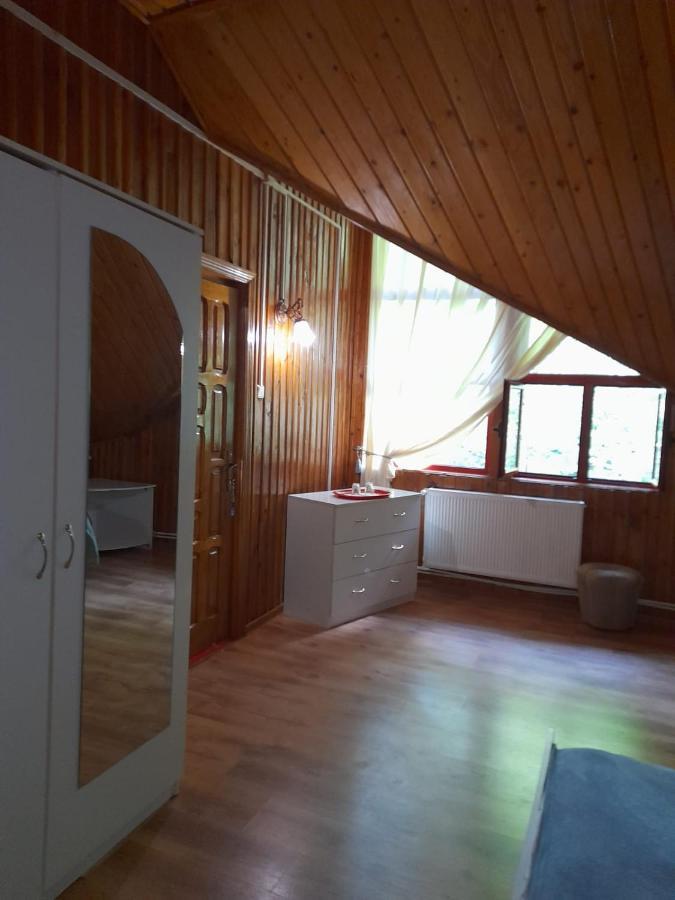 Barlogul Ursilor Lepsa Hotel Екстериор снимка
