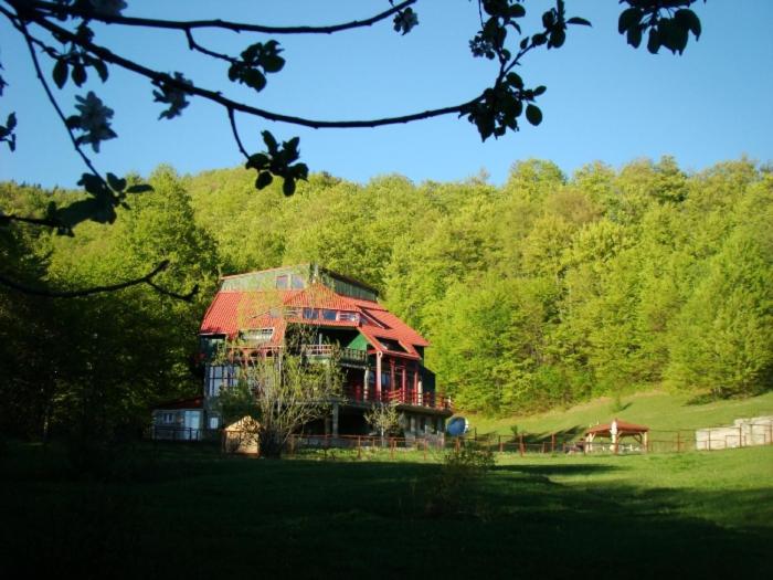 Barlogul Ursilor Lepsa Hotel Екстериор снимка