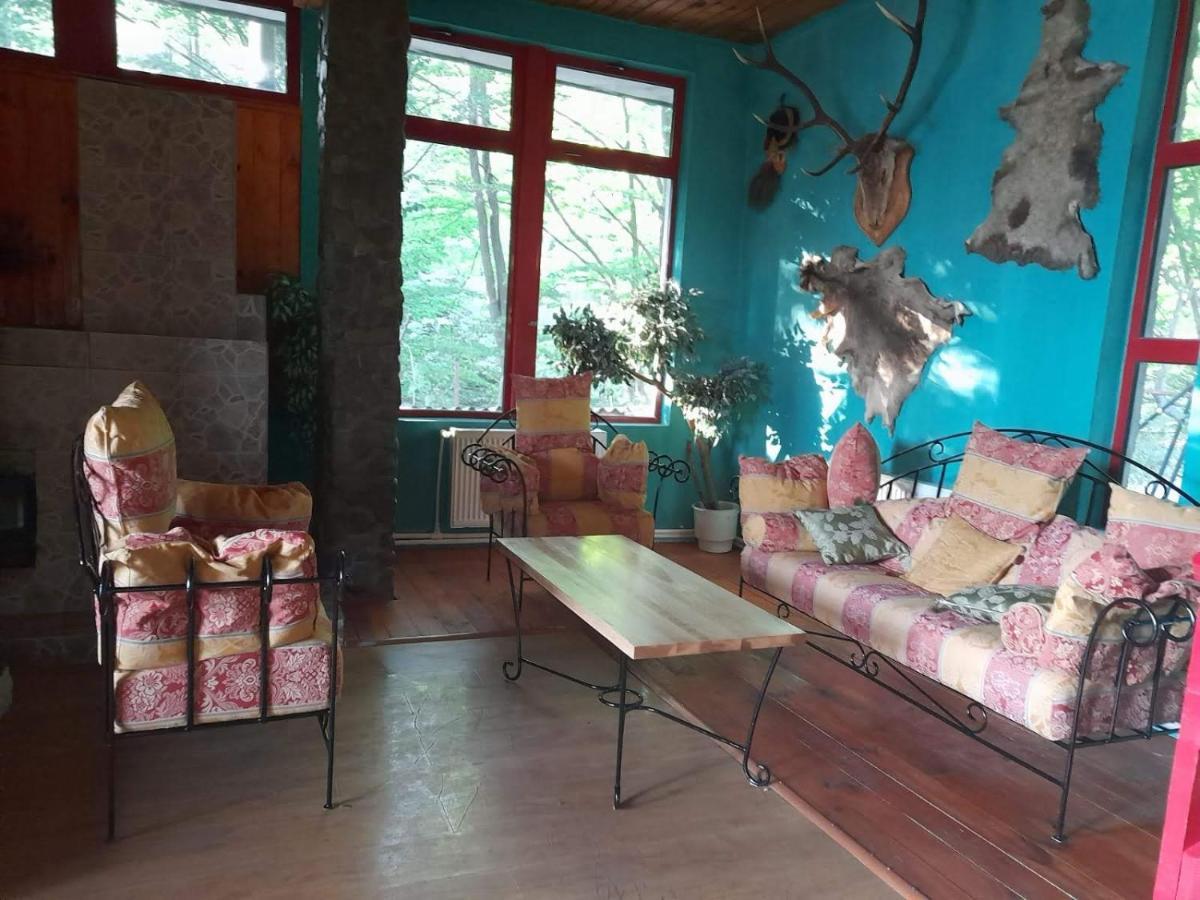 Barlogul Ursilor Lepsa Hotel Екстериор снимка