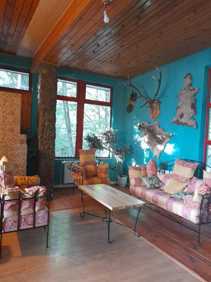 Barlogul Ursilor Lepsa Hotel Екстериор снимка