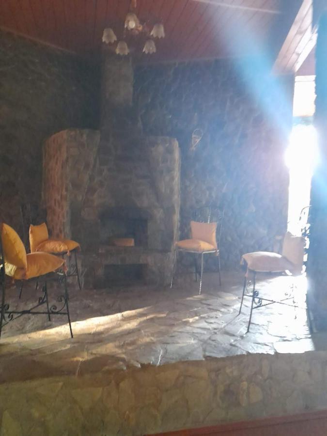 Barlogul Ursilor Lepsa Hotel Екстериор снимка