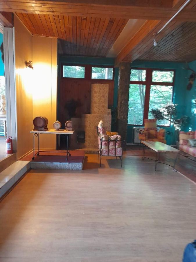 Barlogul Ursilor Lepsa Hotel Екстериор снимка