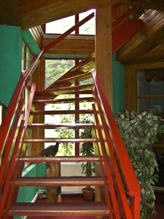 Barlogul Ursilor Lepsa Hotel Екстериор снимка