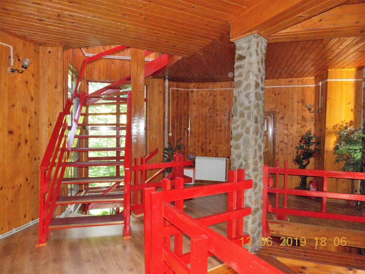 Barlogul Ursilor Lepsa Hotel Екстериор снимка